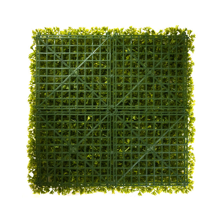 Primrue 20'' Faux Boxwood Hedge Wayfair Canada